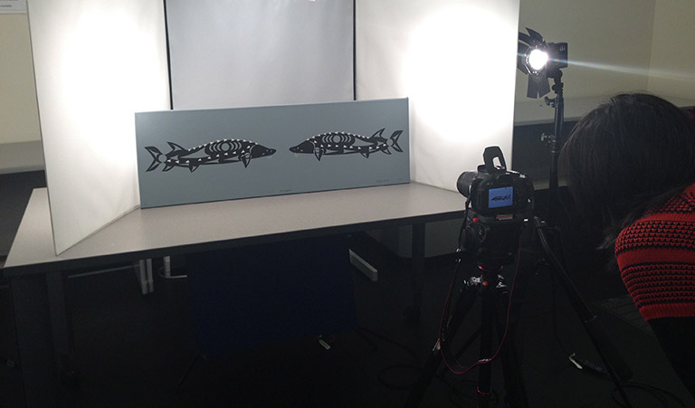 A painting of two sturgeon fish is positioned upright on top of a table, with white boards set up behind it.  In the foreground, a woman is leaning over a camera that is set up in front of the painting.