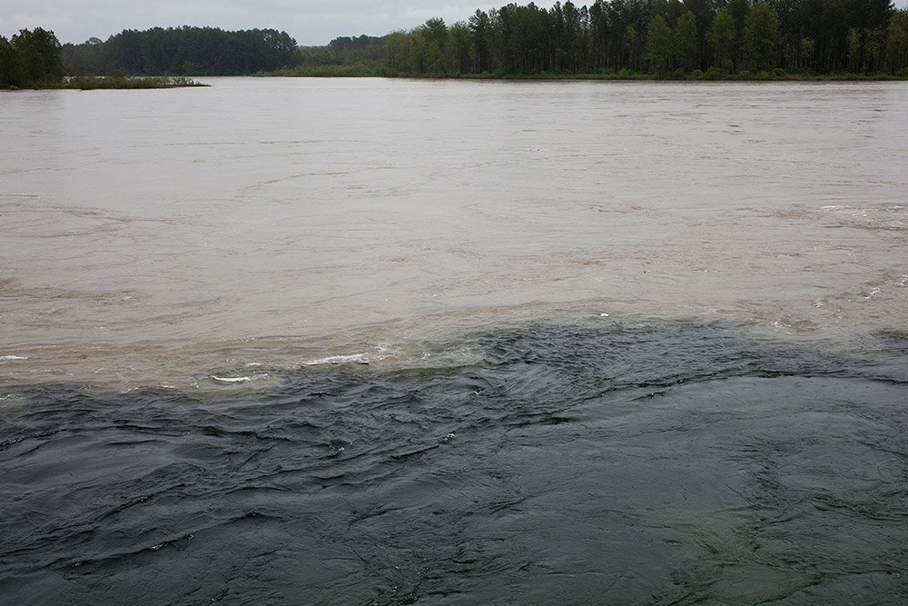 Two rivers are meeting together, with the water on the bottom half of the image much darker in colour than the water above. There are trees and mountains in the distance. 