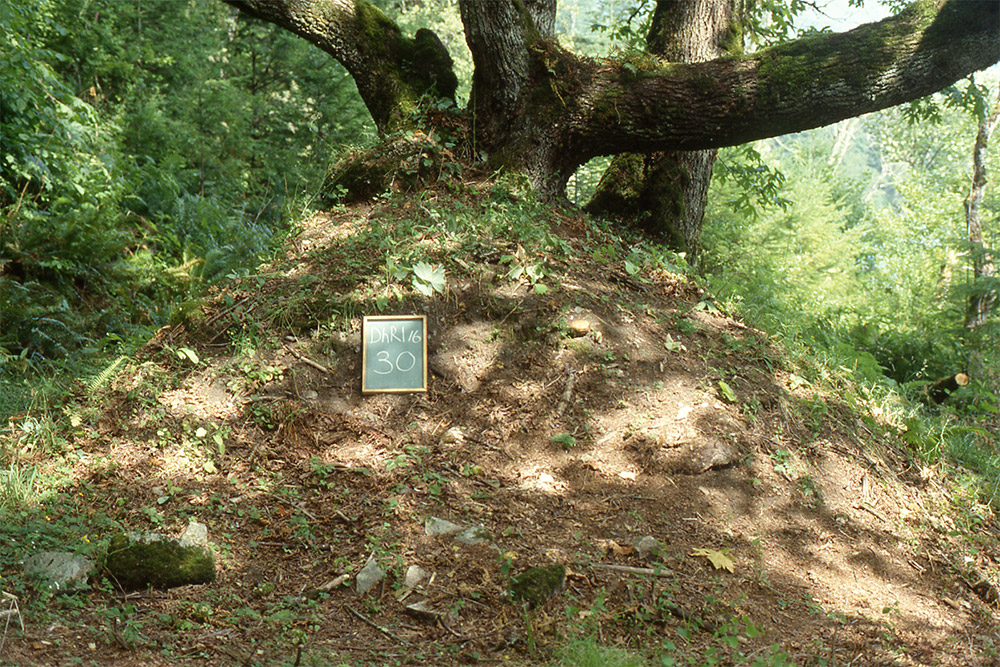 A large mound of earth is marked with a small sign.