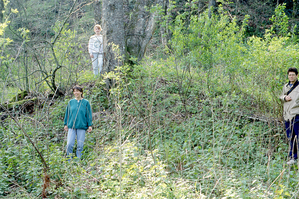 Three people stand on a slope amongst the grass and bush.