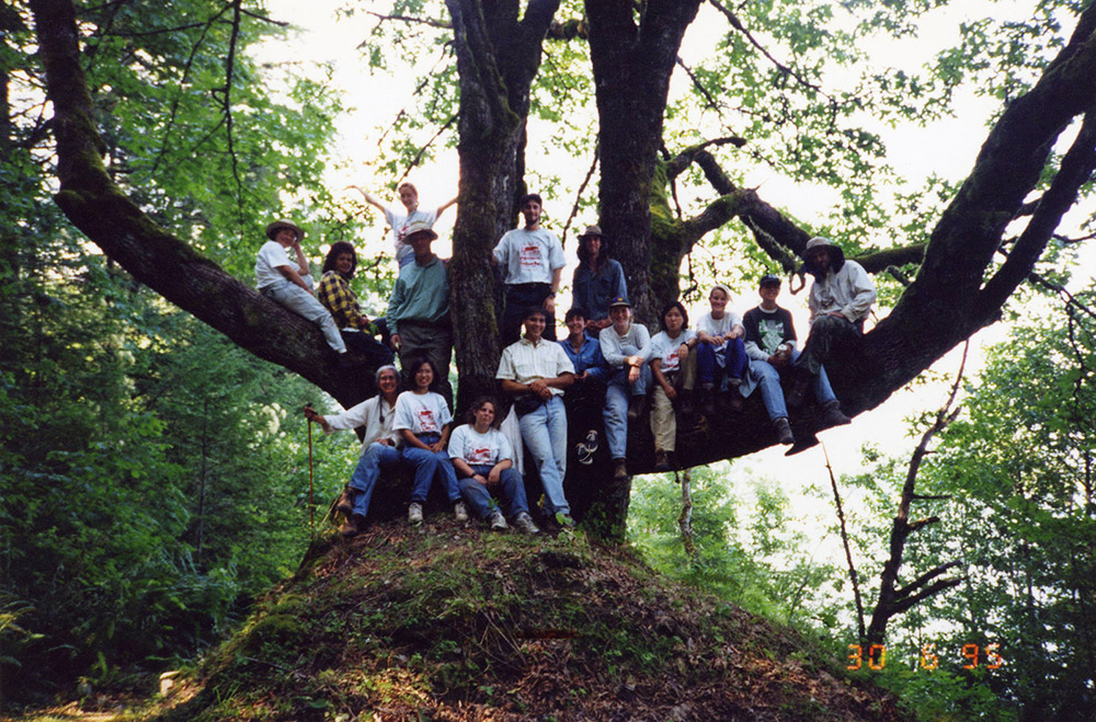 A group of students pose for a photograph, sitting along the lower branches of a large maple tree. 