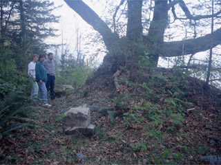 Three people stand beside an earthen mound with a large maple growing out of it . 