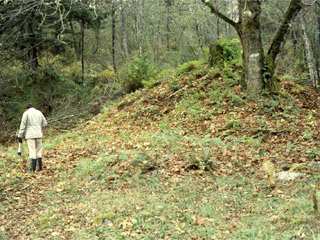 Two people stand beside an earthen mound covered in brush and trees.