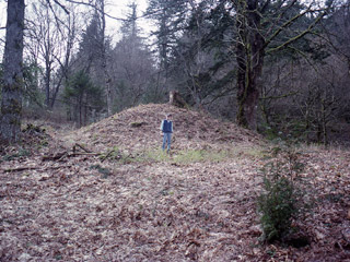 A man stands in front of a large earthen mound covered in fallen leaves.