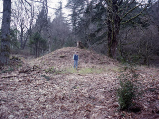 Un homme debout devant un grand tertre recouvert de feuilles mortes.