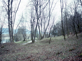 Earthen mounds on a forested earthen terrace.