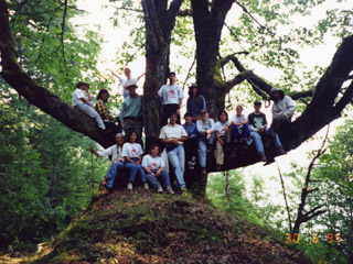 A group of students pose for a photograph, sitting along the lower branches of a large maple tree.