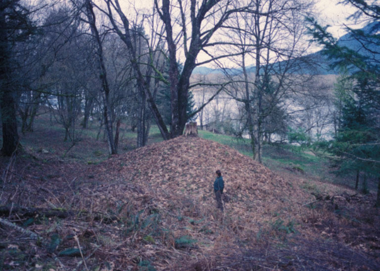 Un homme debout regarde un gros tertre devant lui.