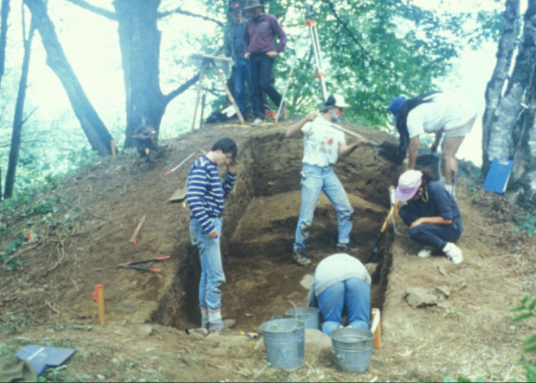 Plusieurs personnes utilisent des pelles et d’autres outils pour creuser dans un gros tertre dans la forêt.