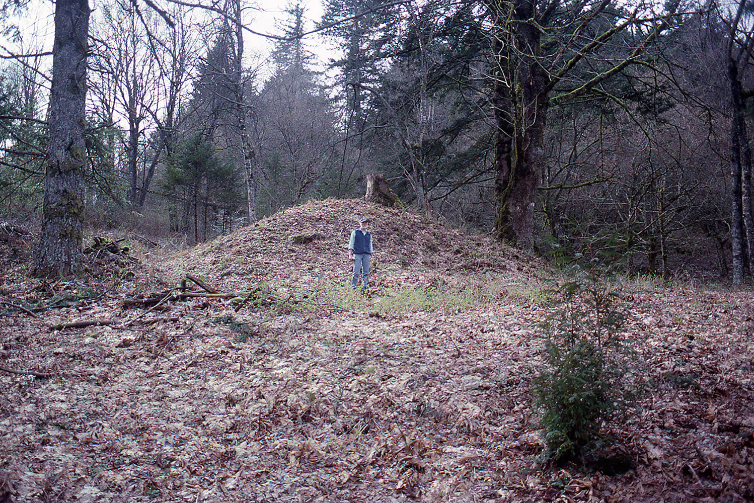 A man stands in front of an earthen mound covered in fallen leaves.