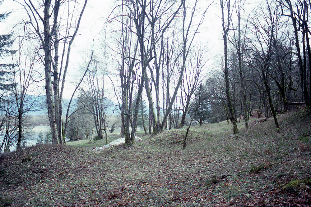 Earthen mounds on a forested earthen terrace.