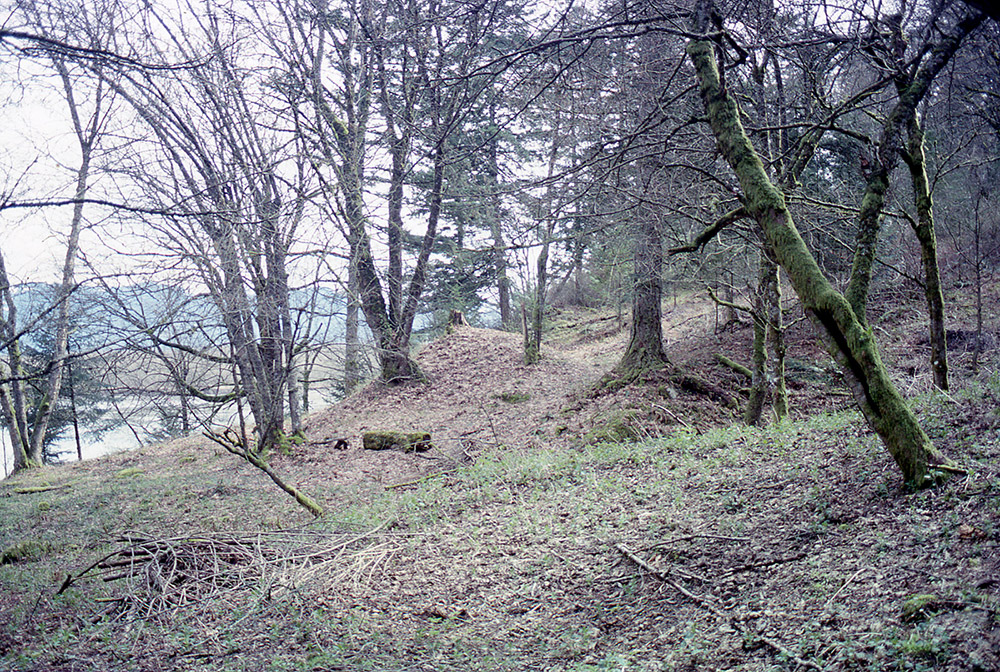 Earthen mounds can be seen in the distance covered in grass, leaves, and trees.