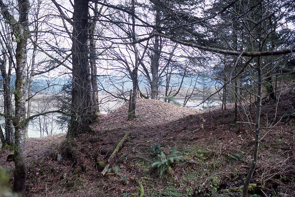An ancestor mound can be seen in the distance covered in grass, leaves, and trees.