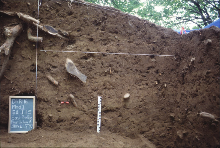 The cross-section view from inside an archaeological mound.