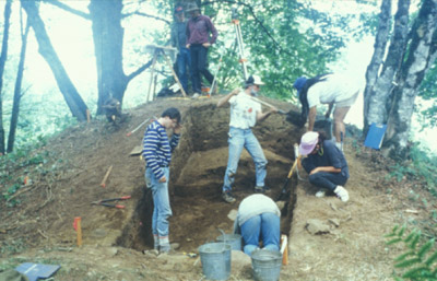 A group of people use shovels and other tools to excavate a large mound in the forest.