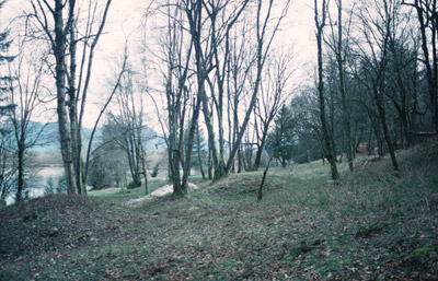 Earthen mounds on a forested earthen terrace.