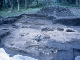 Un site de fouilles archéologiques avec une section plate où se trouvent des trous dans le sol. À l’arrière-plan, il y a des arbres et de l’herbe.