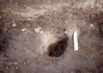 Archaeological excavation site showing a hole in the ground.