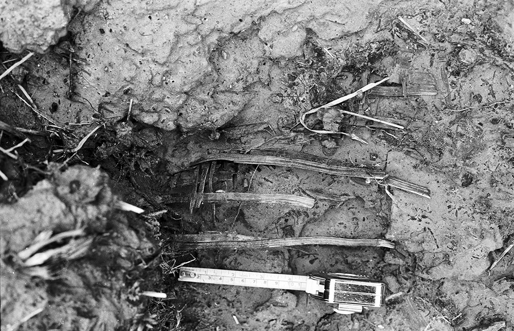 A black and white photograph of pieces of basketry in a muddy archaeological area.
