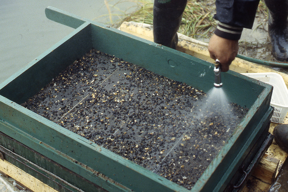 Someone holds a hose as it sprays water over a screen of sediment to remove dirt.