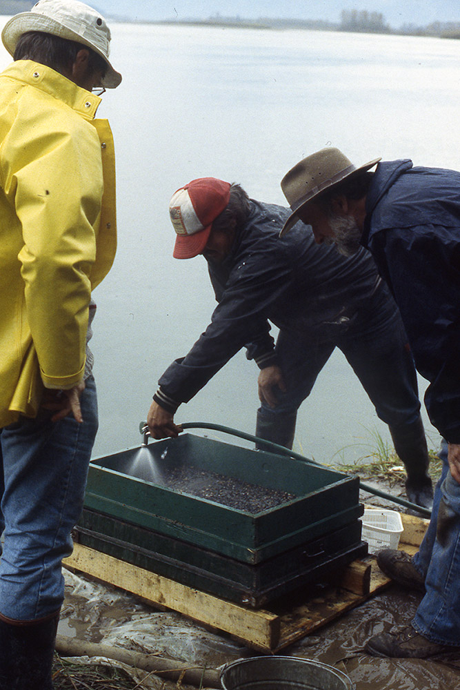 Three people stand around a screen by the riverbank. One of them is holding a hose over the screen to wash away dirt.