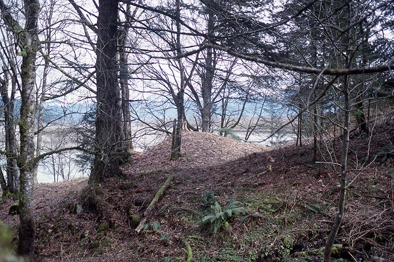 A river terrace with a number of trees and mounds.