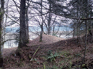 A river terrace with a number of trees and mounds.