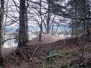 Une terrasse riveraine avec des arbres et des tertres.