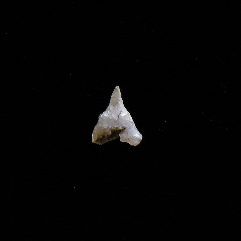 A tiny white stone fashioned into a triangular shape with a point.