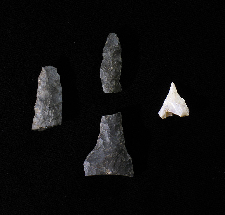 Three black and one white pieces of stone fashioned into points.