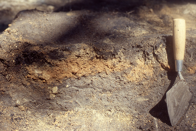 A dirt profile showing layers of burned earth, char, and ash.  There is a trowel stuck in the soil in the foreground.