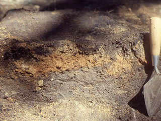 A dirt profile showing layers of burned earth, char, and ash.  There is a trowel stuck in the soil in the foreground.