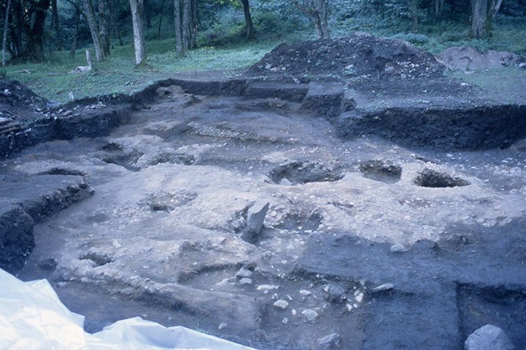 Un site de fouilles archéologiques avec une section plate où se trouvent des trous dans le sol. À l’arrière-plan, il y a des arbres et de l’herbe.