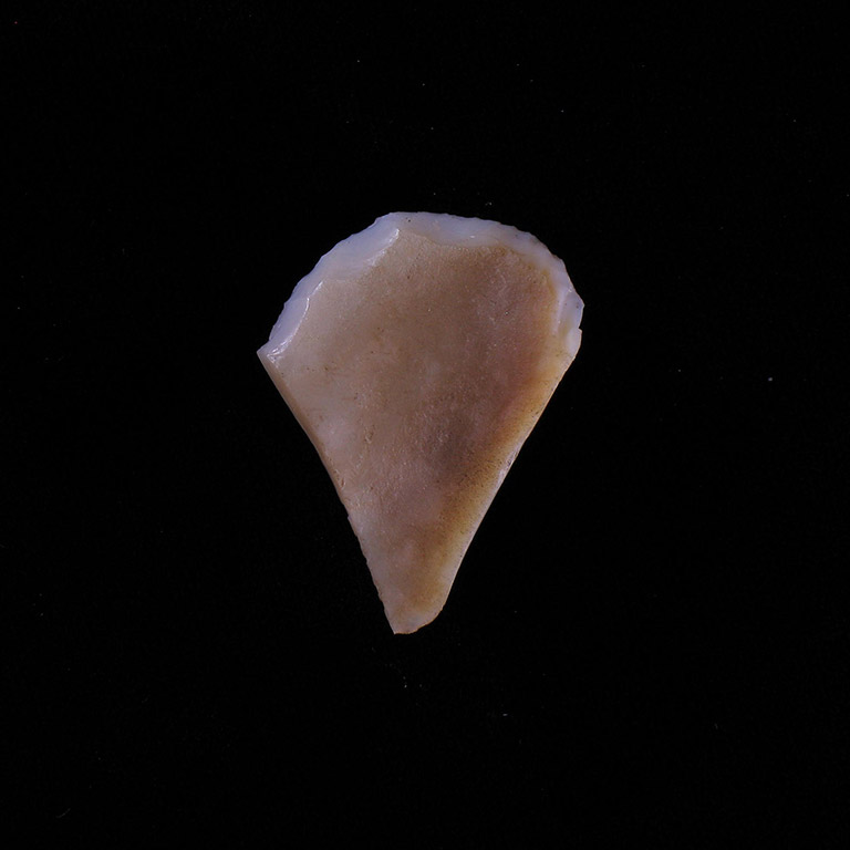 A triangular piece of white stone with one sharpened edge.