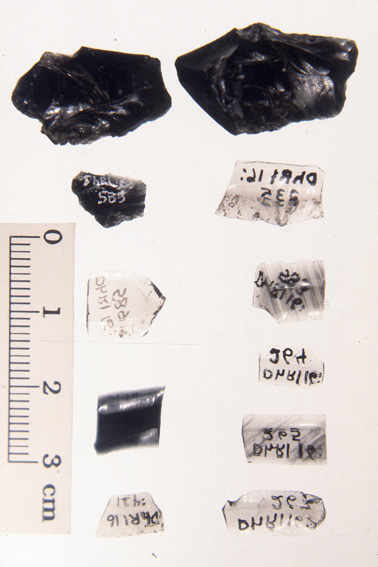Eight small pieces of translucent light-coloured rock are laying on a black background. Many are shaped into small blades.