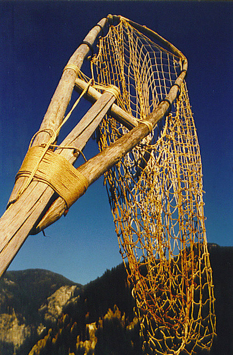 A long narrow net attached to a frame at the top of a long pole.