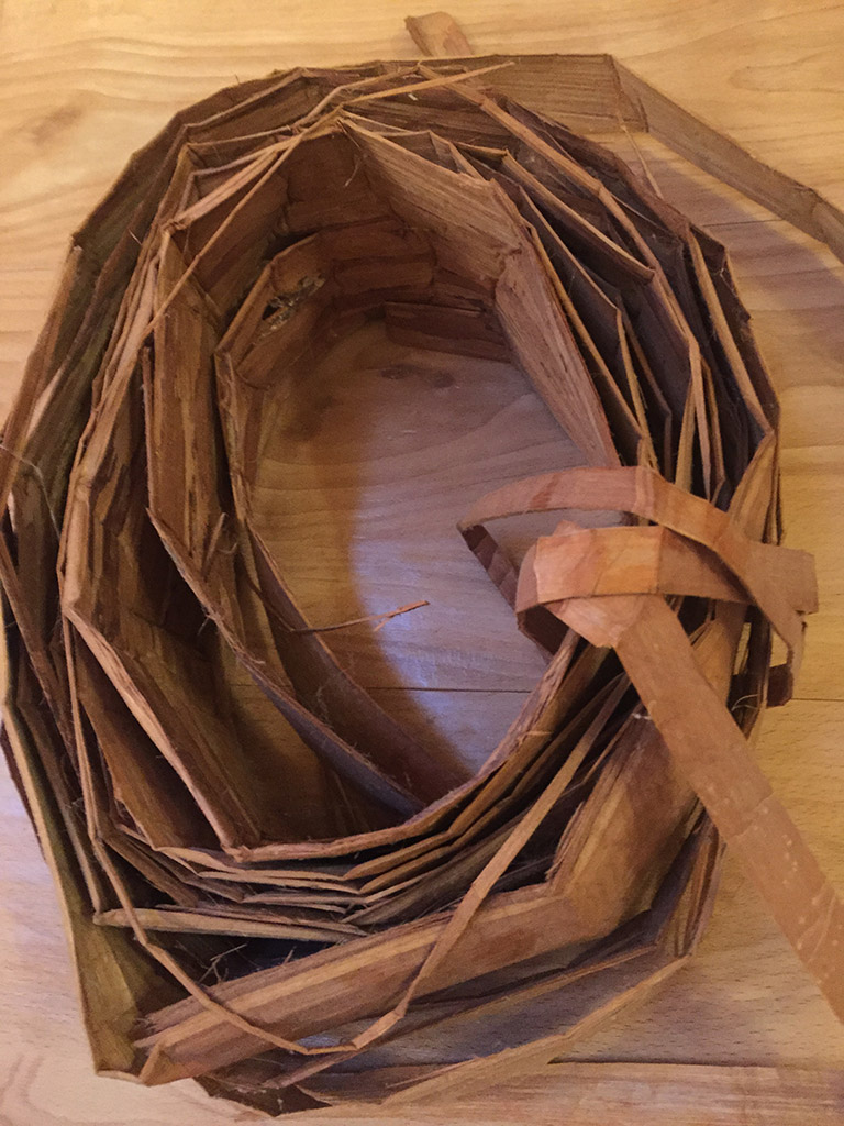 A long, narrow strip of red bark is coiled around itself. 