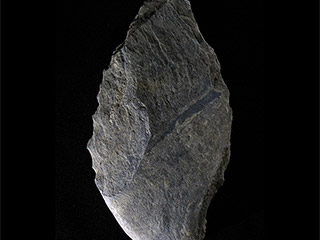 Un gros morceau de pierre gris pâle, en forme de feuille, posé sur un fond noir.