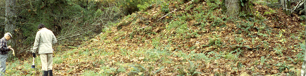 Two people stand beside an earthen mound covered in brush and trees.