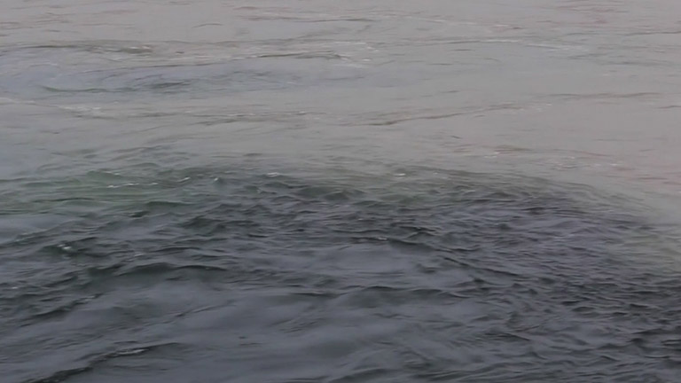 An elder gestures towards the place where the Harrison and Fraser rivers meet.