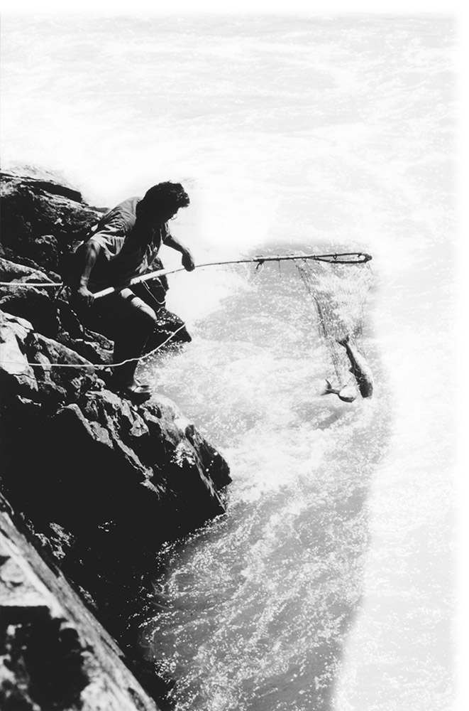 Une photo en noir et blanc d’un homme debout près du fleuve. Il tient un filet de pêche avec un long manche et il y a un poisson dans le filet.