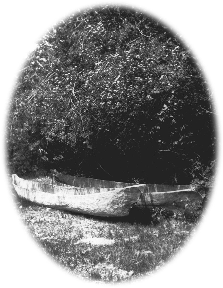 A black and white photograph of two canoes sitting ashore underneath a dense patch of trees.