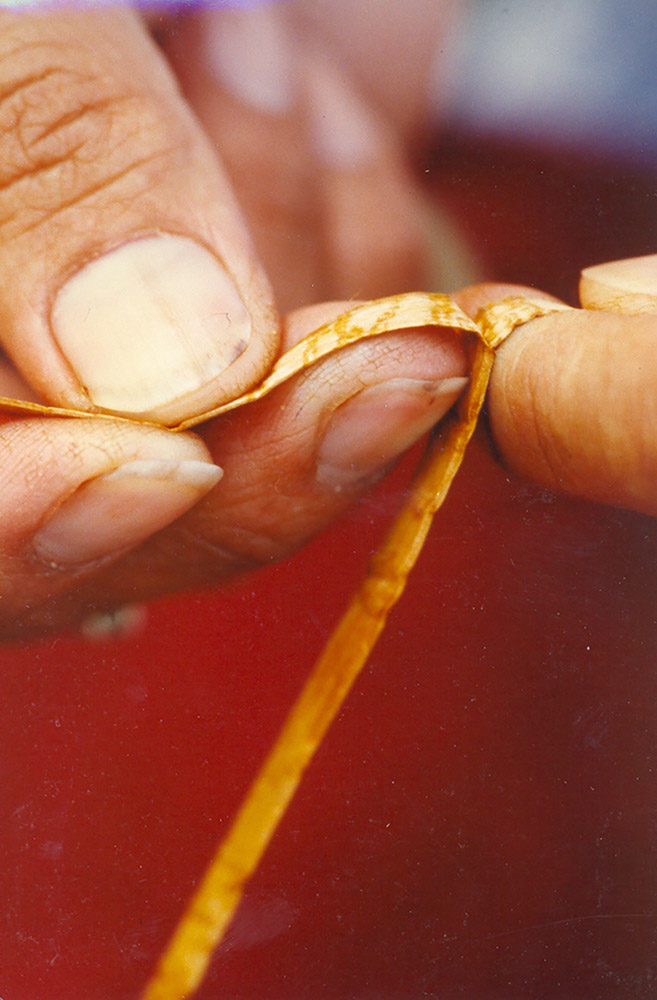 A person is peeling apart a cedar root.