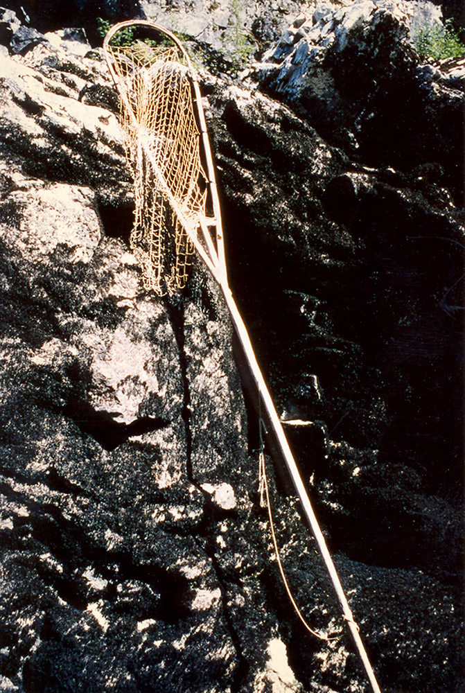 A long-handled fishing net leans vertically against the rocky shoreline.