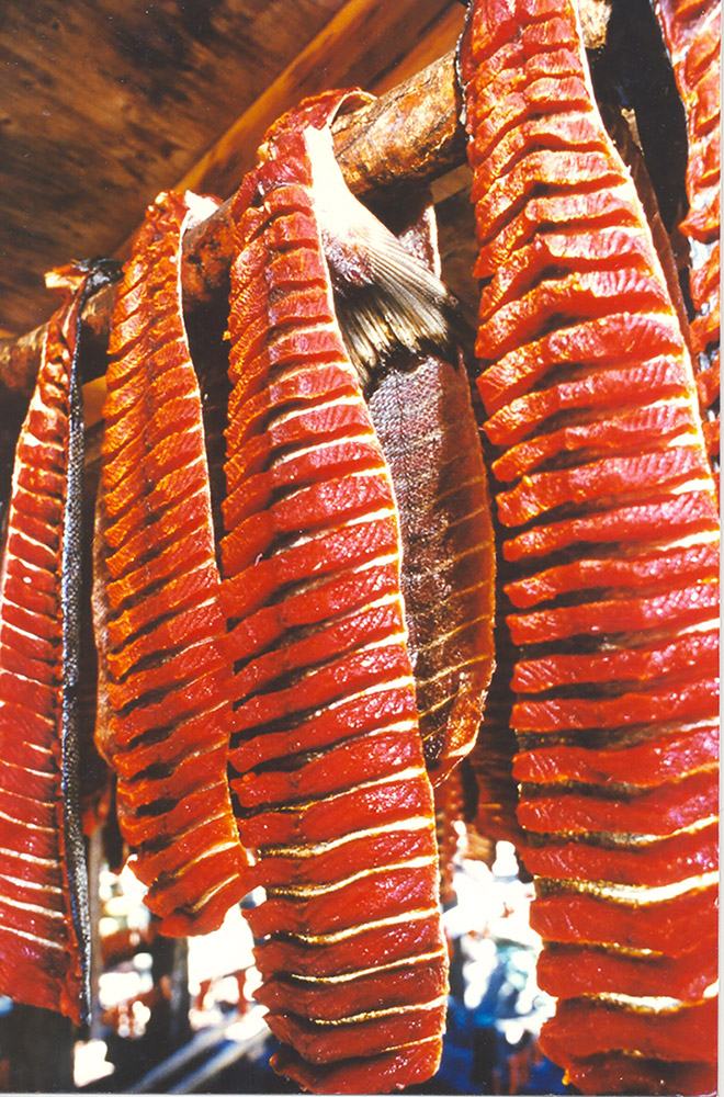 Rows of salmon hang on an open-air rack to dry.