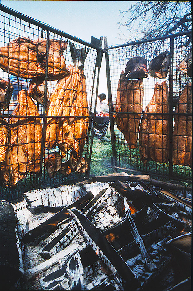 There are two wire racks set up vertically beside a large outdoor firepit; on each rack, there are fish bodies and heads that are being dried.