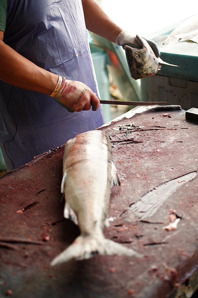 A man holds a fish head in one hand, and a knife in the other, as he cleans the fish.
