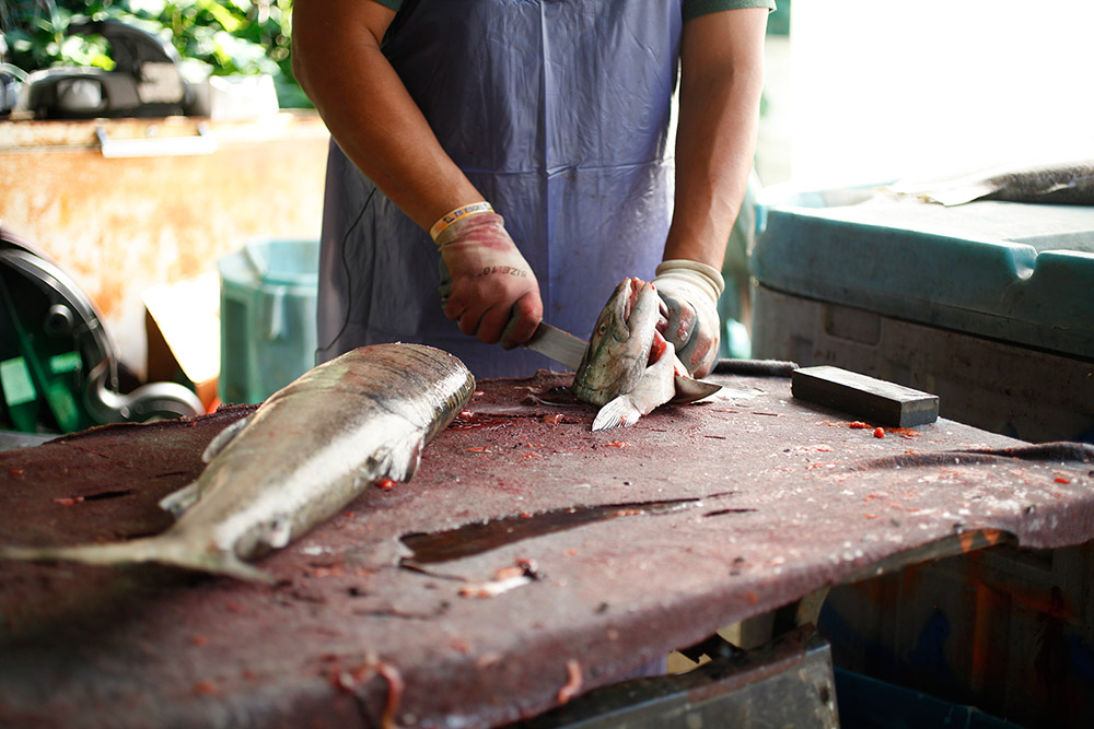 A man holds a freshly-butchered fish head against the table, cleaning it with his knife.