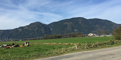 Une route avec une ferme au loin.