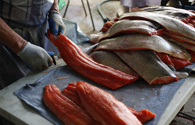 Un homme découpe un poisson sur une table brune. De sa main gauche, il tient le corps du poisson et dans l’autre main, il tient un gros couteau. Il est dos à dos avec une femme derrière lui.